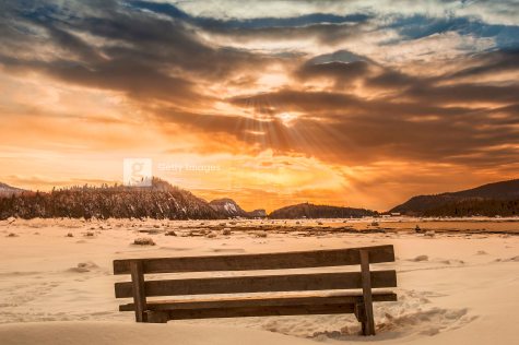 Parc du Bic, Bas St-Laurent, hiver 2014. Traitement DRI.