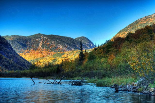 Haute gorge de la rivière Malbaie II-Getty-FINALE