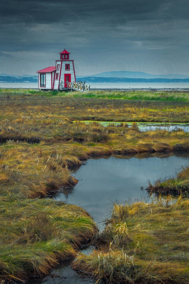 DRI_IMG_8772_73_74-2-1-500px-High-res