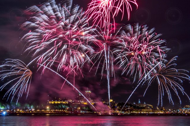 FEUX_IMG_9522_33-1_500px-high res